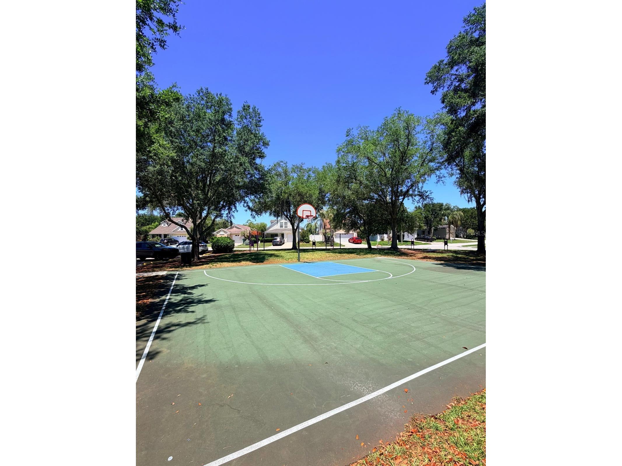 32111 Brookstone Drive Wesley Chapel FL 33545 TB8510433 image23