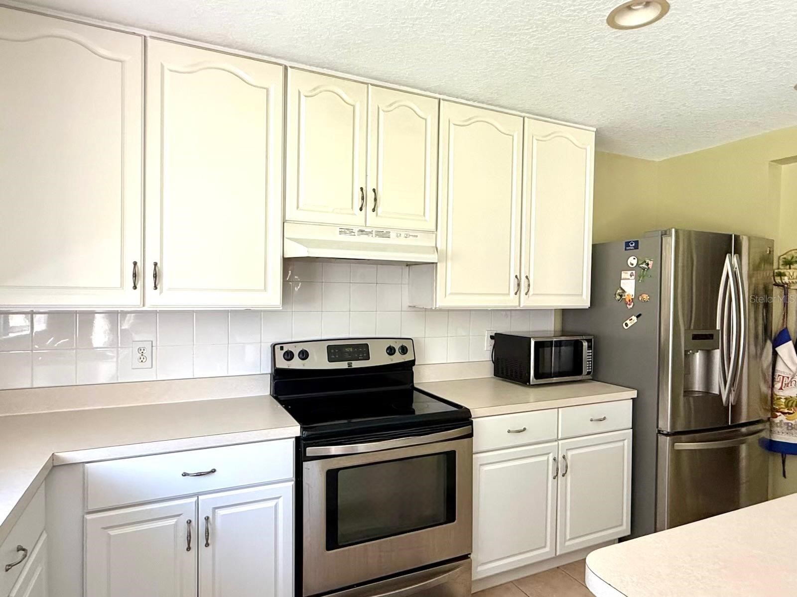 32111 Brookstone Drive Wesley Chapel FL 33545 TB8510433 image6