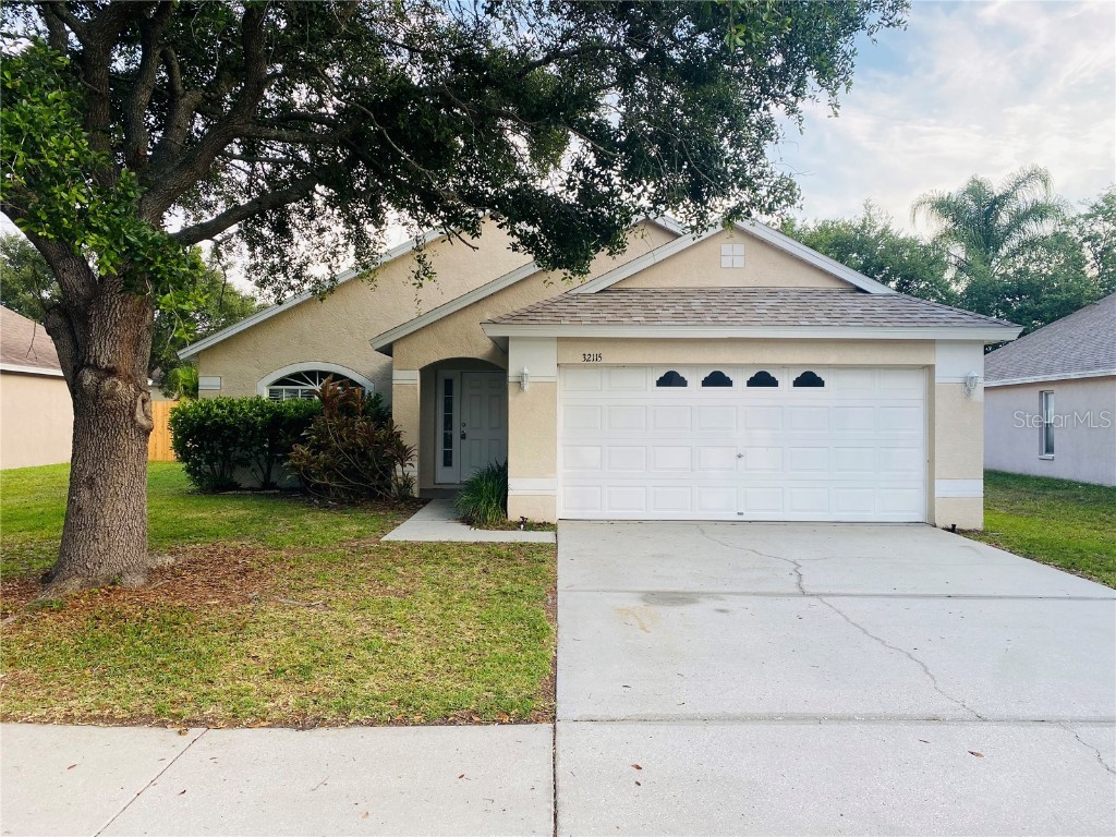 32115 Cypress Valley Drive Wesley Chapel FL 33545 U8247268 image1
