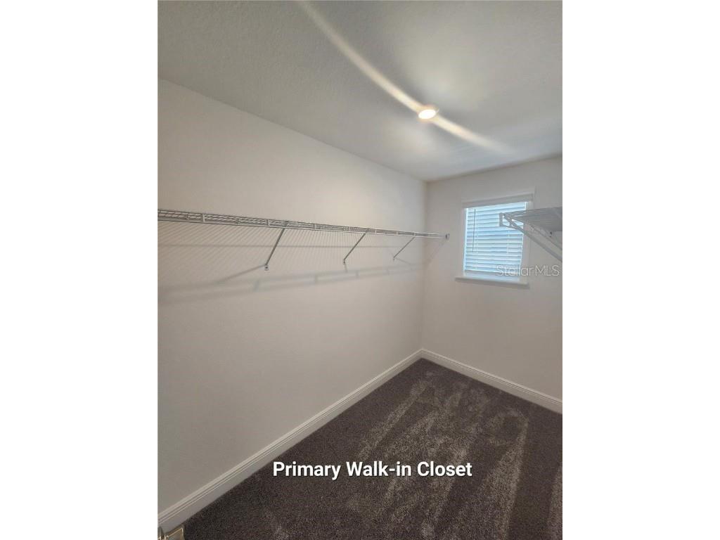 32118 Pond Apple Bend San Antonio FL 33576 TB8431373 image13