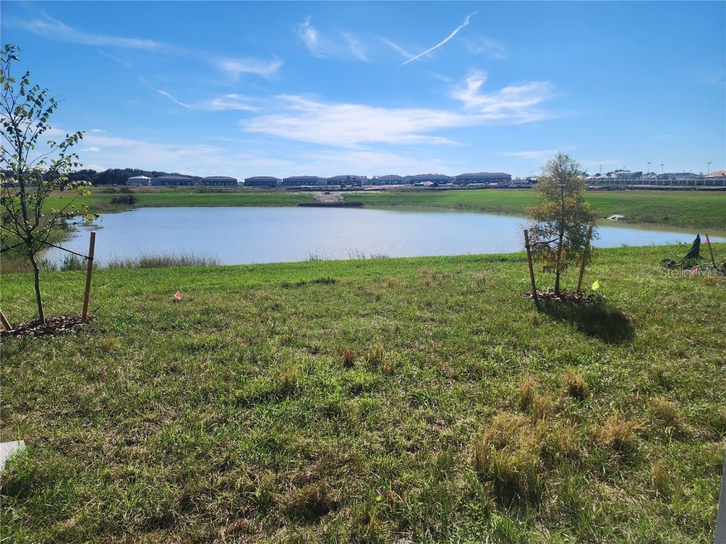 32118 Pond Apple Bend San Antonio FL 33576 TB8431373 image23