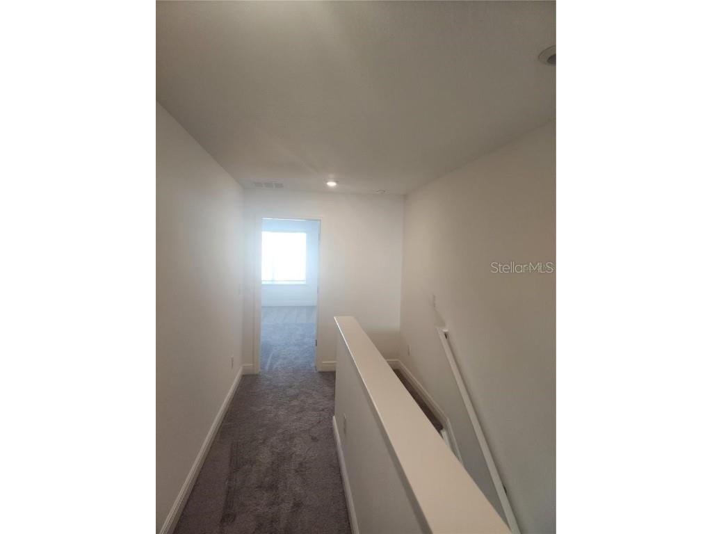 32118 Pond Apple Bend San Antonio FL 33576 TB8431373 image9