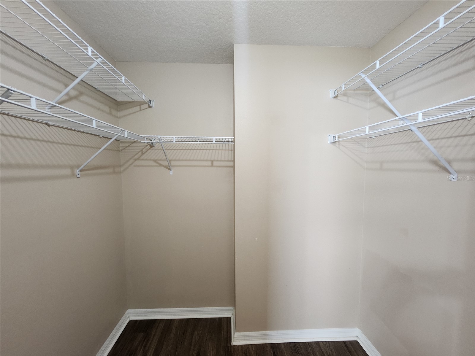 32119 Cypress Valley Drive Wesley Chapel FL 33545 TB8510586 image19