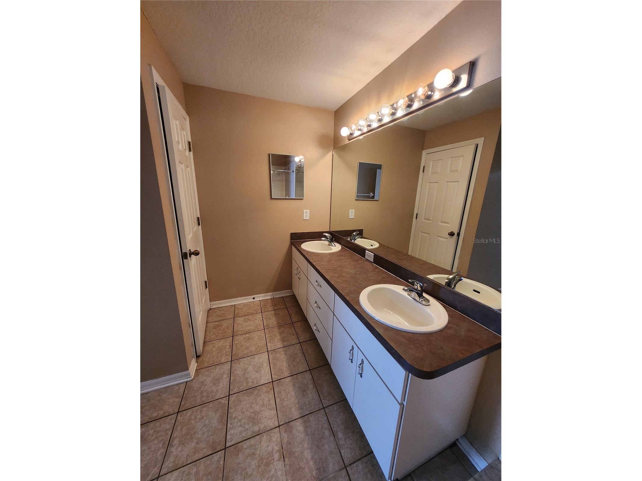 32119 Cypress Valley Drive Wesley Chapel FL 33545 TB8510586 image21