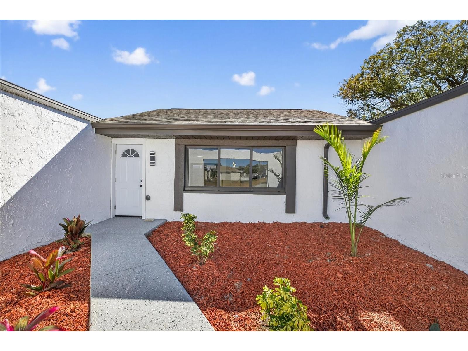 3212 Honeymoon Lane Holiday FL 34691 TB8473184 image3