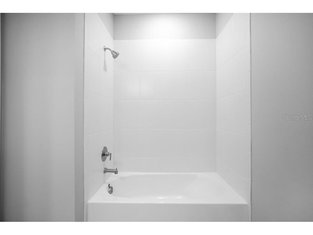 3212 Lumber Falls Drive Plant City FL 33565 TB8413183 image25