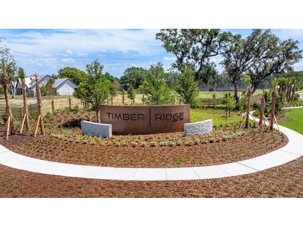 3212 Lumber Falls Drive Plant City FL 33565 TB8413183 image37