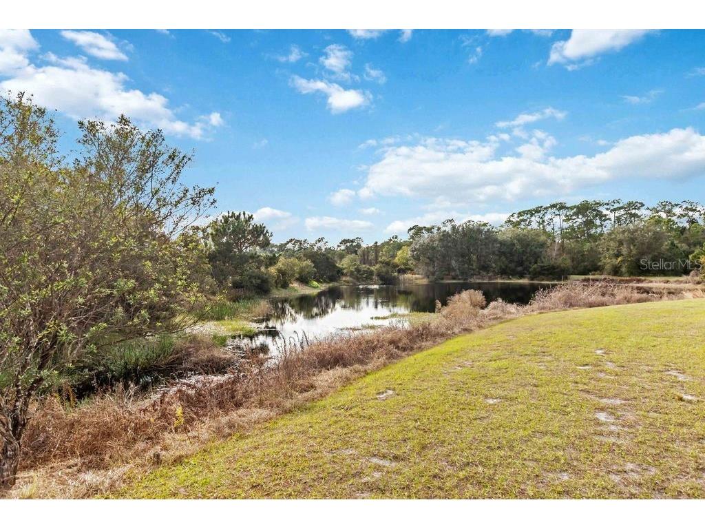 3212 Oxbow Court Harmony FL 34773 S5141393 image34