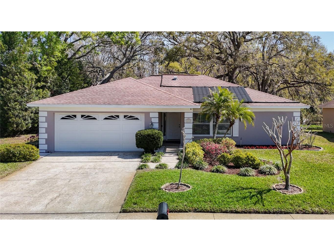 3212 Player Drive New Port Richey FL 34655 TB8356529 image1