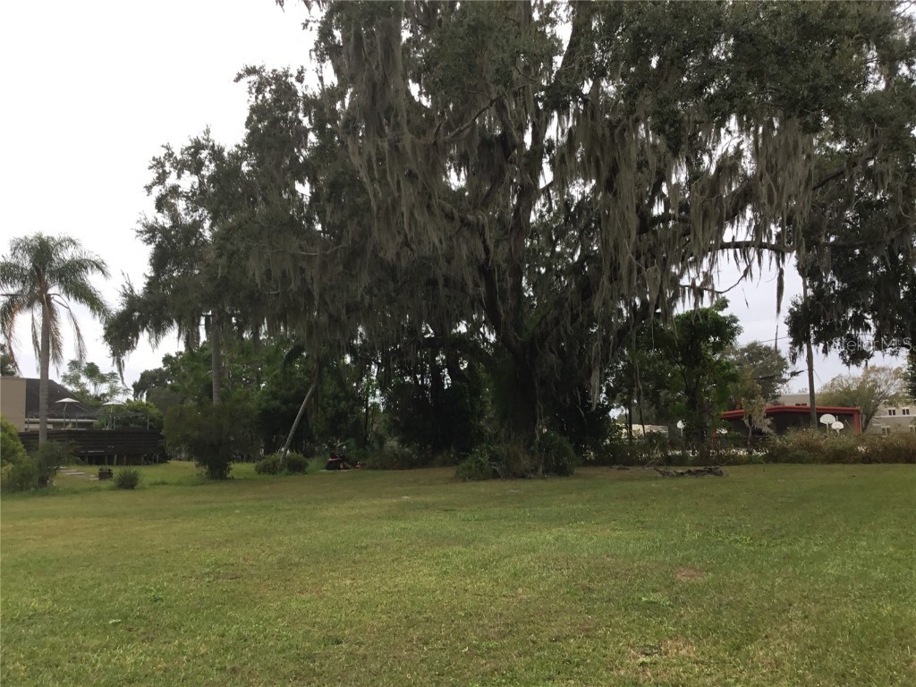 3212 Roy Street Orlando FL 32812 O6157484 image1