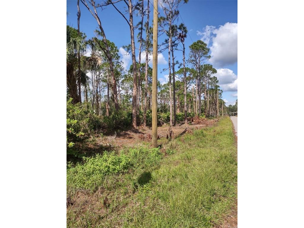 3212 Trinity Street North Port FL 34291 C7468599 image1