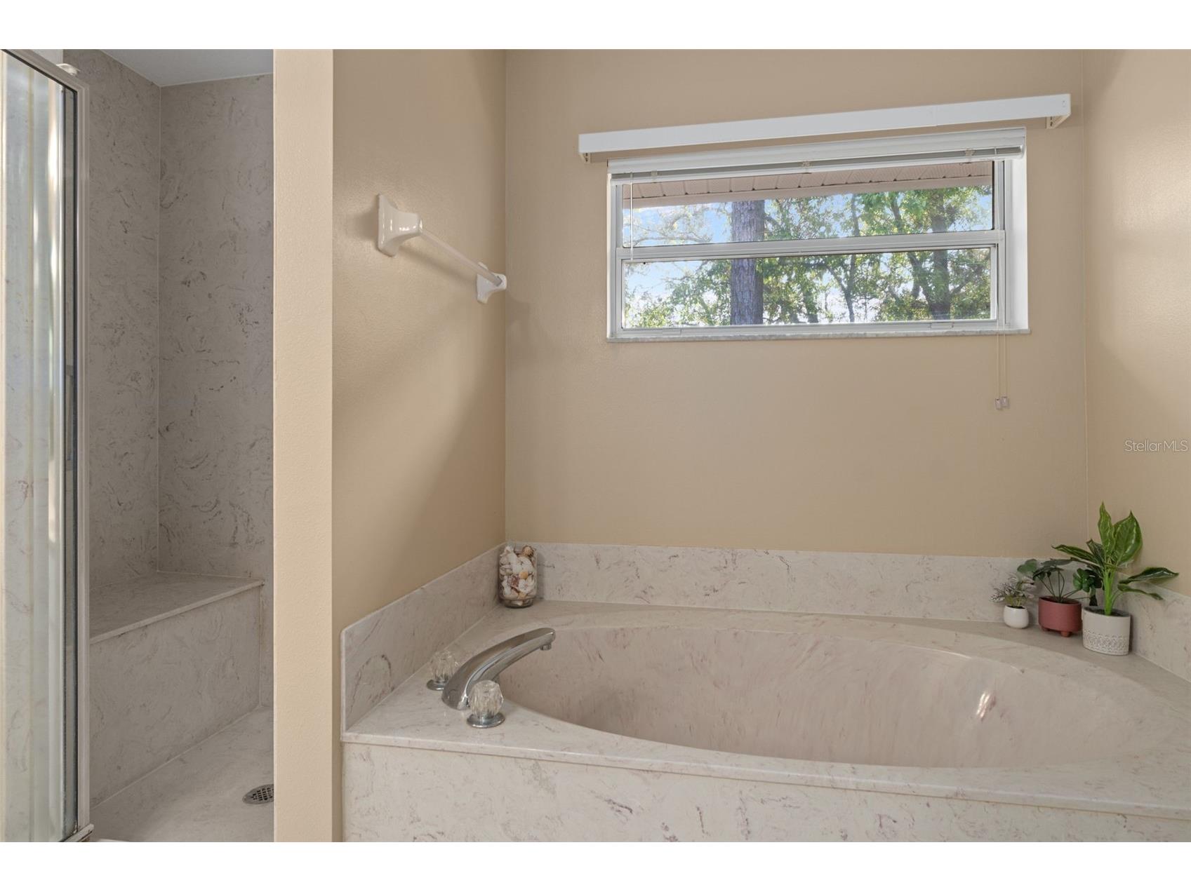 3212 W Camilo Drive Citrus Springs FL 34434 OM721472 image25