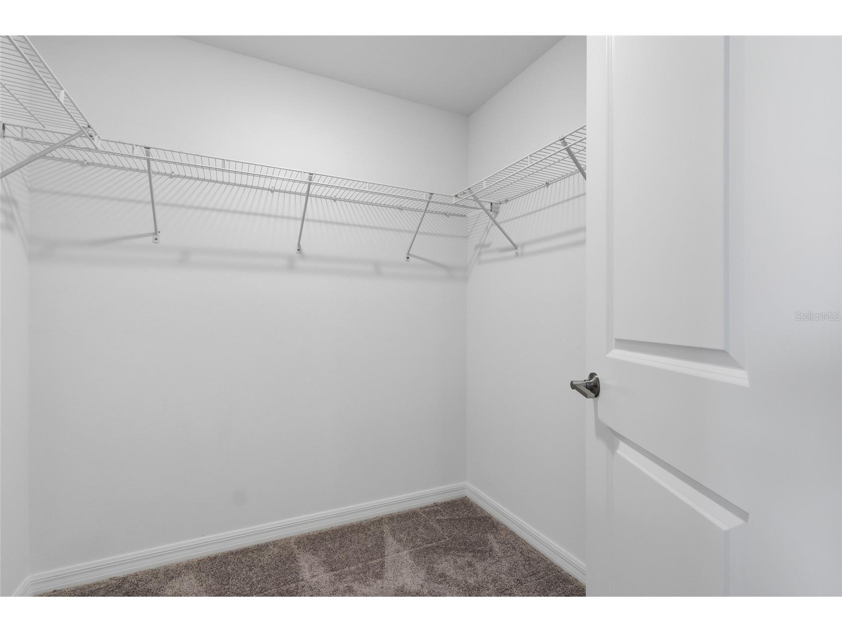 32127 Powderpuff Mimosa Drive San Antonio FL 33576 TB8485313 image5