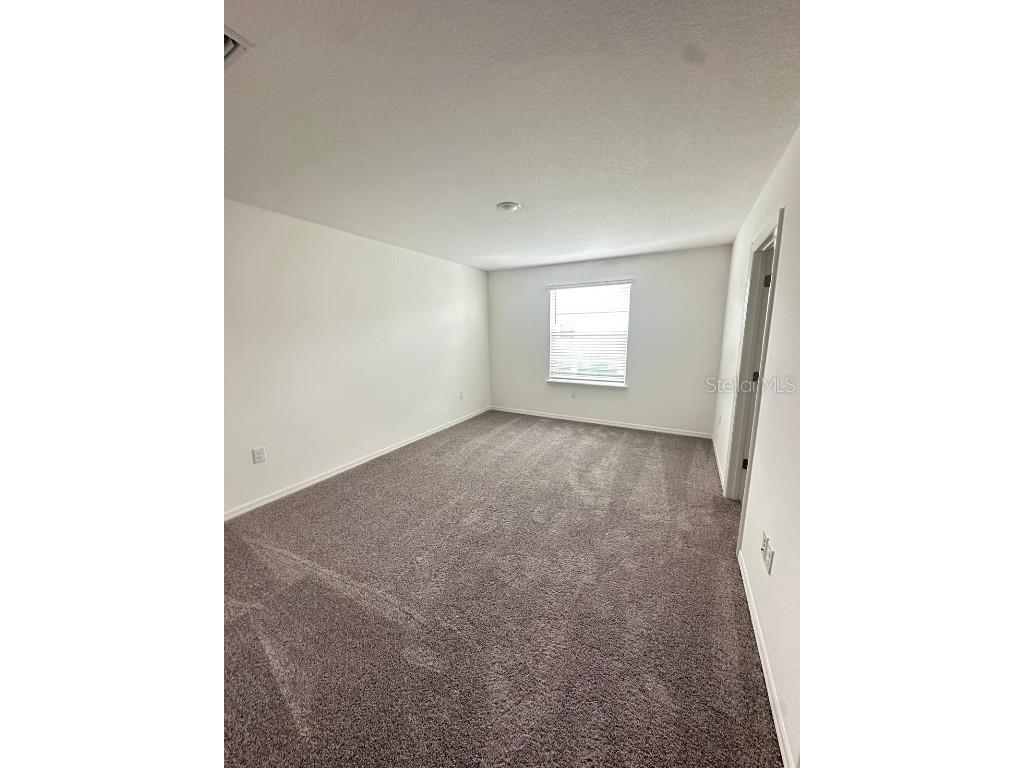 32132 Eastern Redbud Branch San Antonio FL 33576 TB8434557 image12