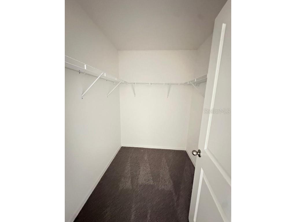 32132 Eastern Redbud Branch San Antonio FL 33576 TB8434557 image16