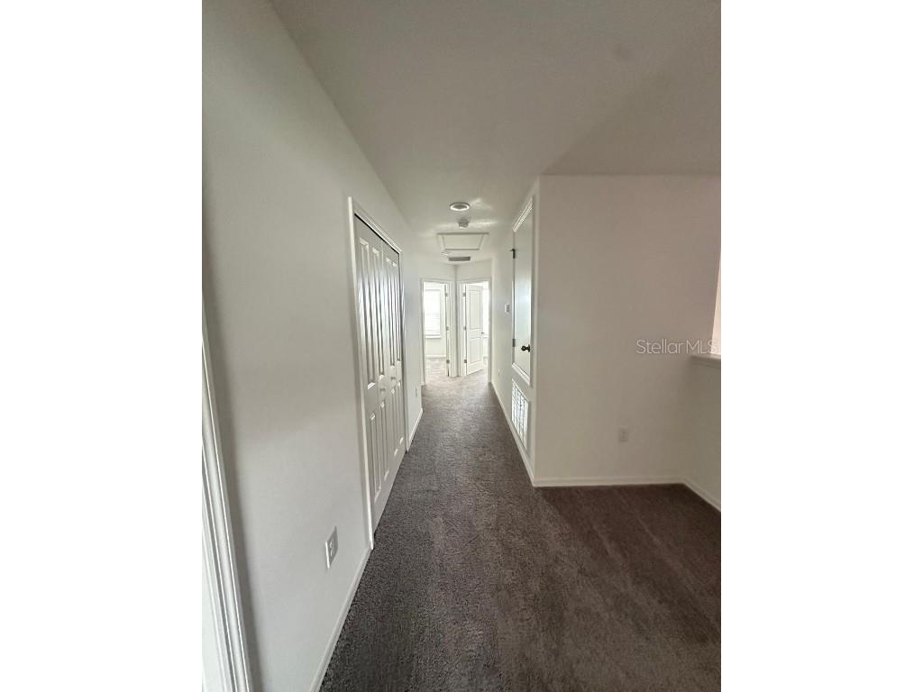 32132 Eastern Redbud Branch San Antonio FL 33576 TB8434557 image17