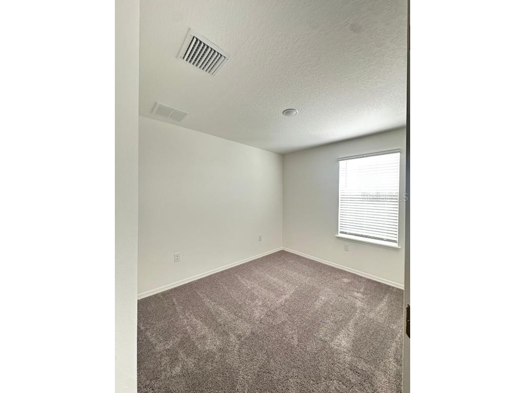 32132 Eastern Redbud Branch San Antonio FL 33576 TB8434557 image18