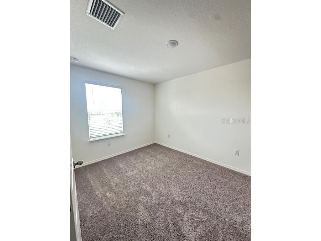 32132 Eastern Redbud Branch San Antonio FL 33576 TB8434557 image19