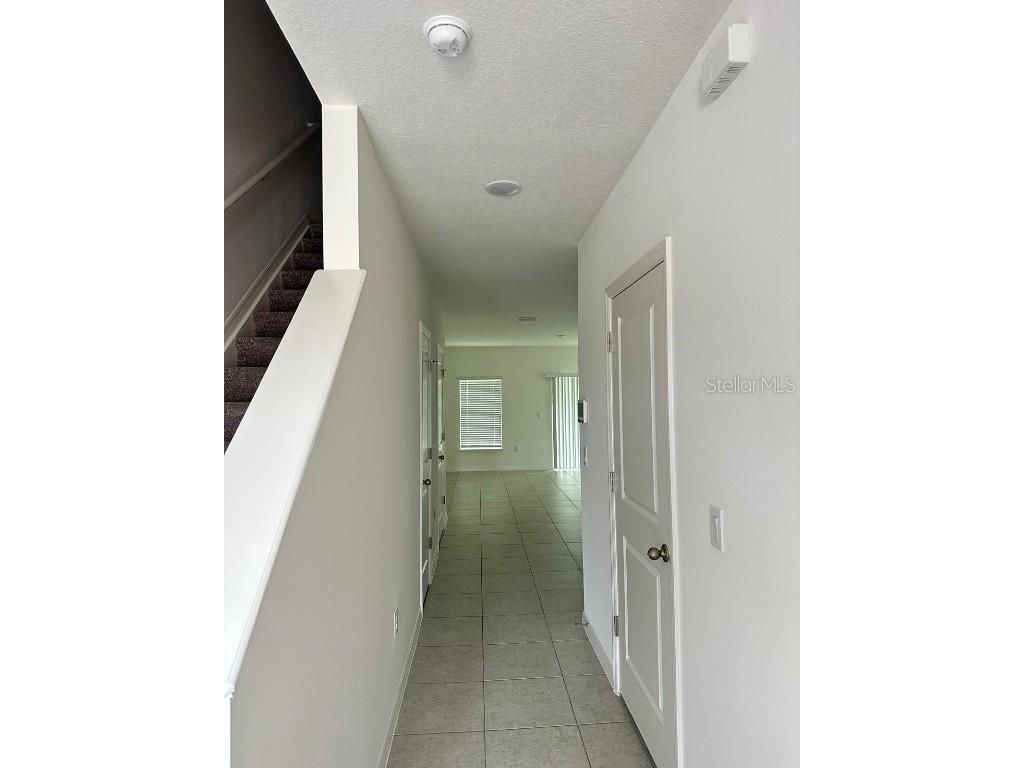 32132 Eastern Redbud Branch San Antonio FL 33576 TB8434557 image3