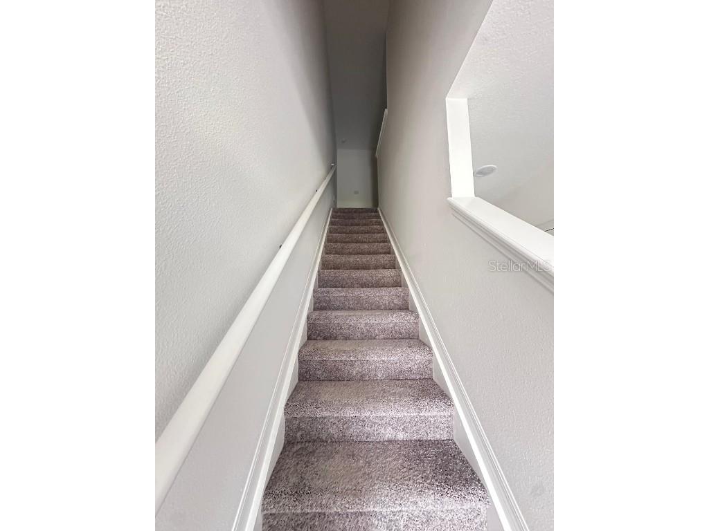 32132 Eastern Redbud Branch San Antonio FL 33576 TB8434557 image9