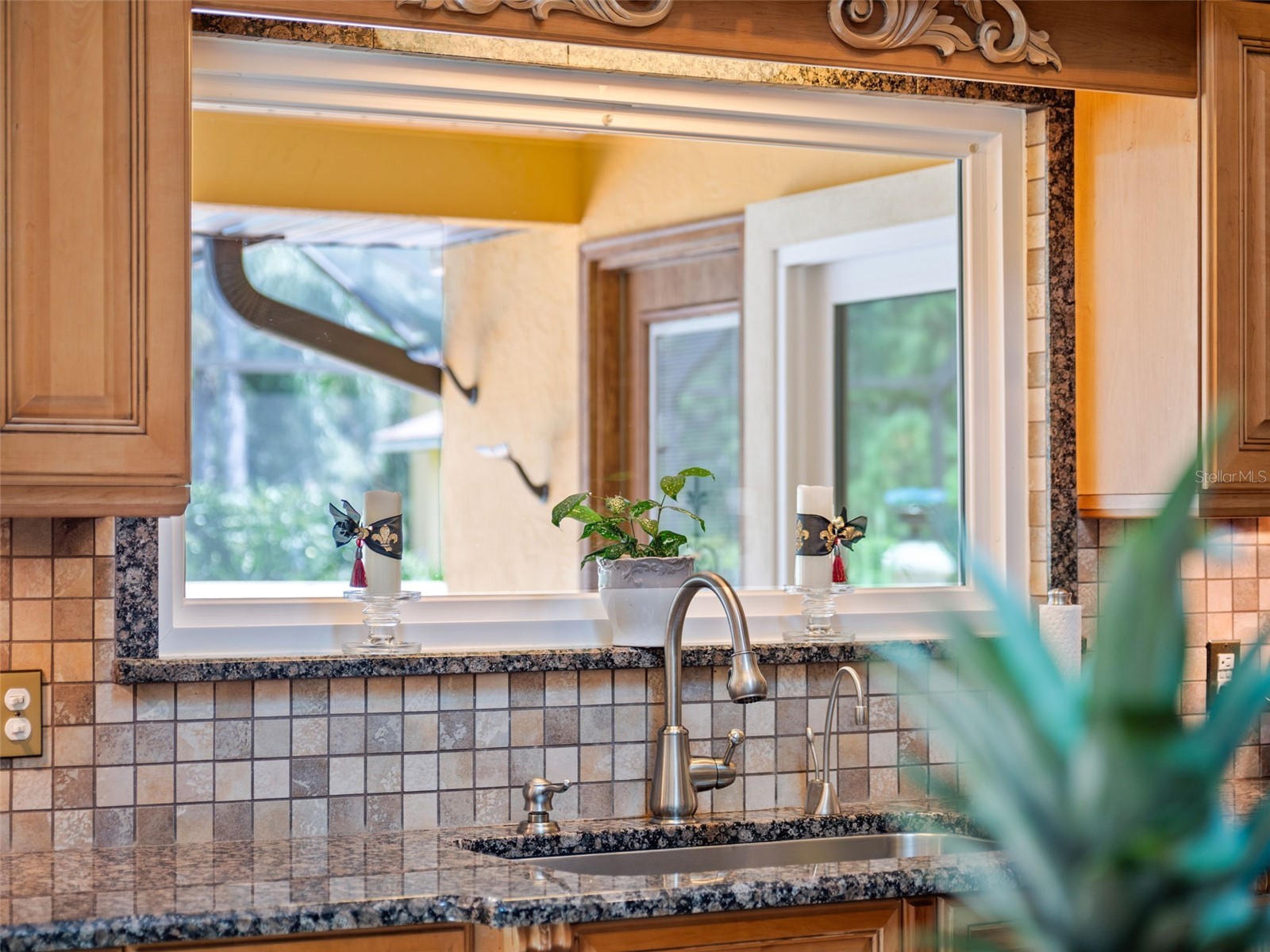 32133 Wolf Branch Lane Sorrento FL 32776 O6374261 image31