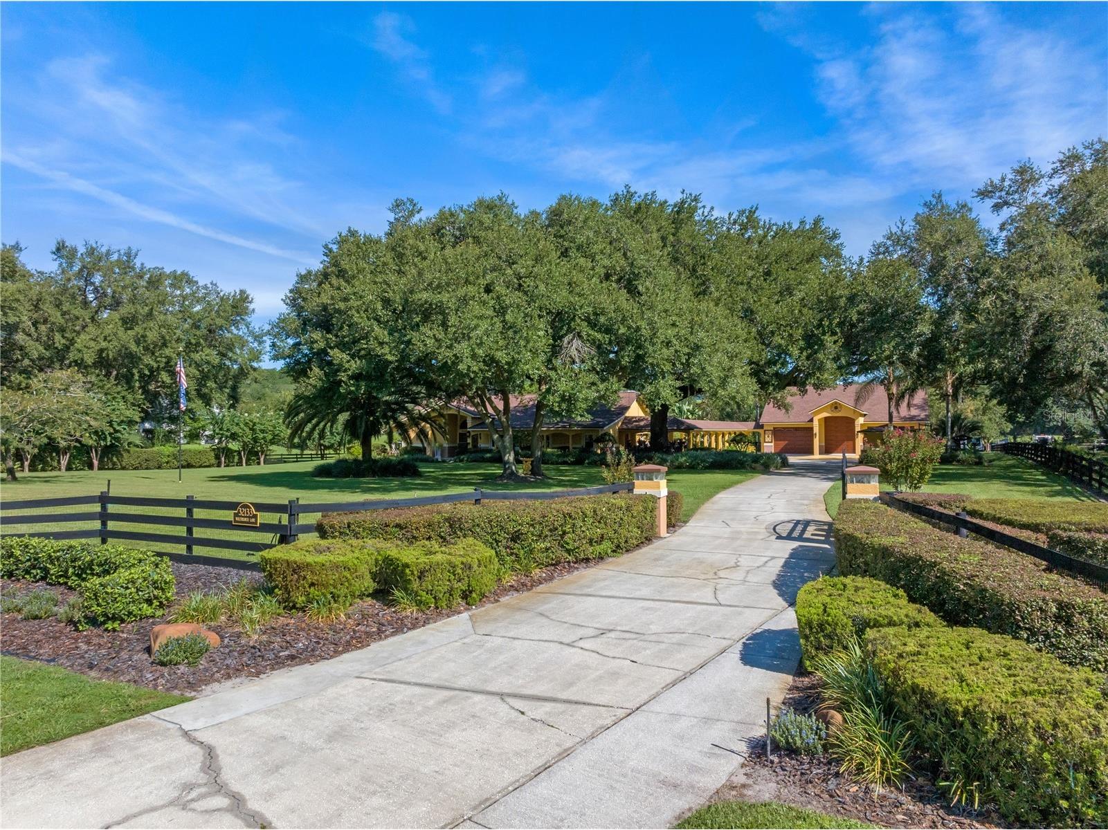 32133 Wolf Branch Lane Sorrento FL 32776 O6374261 image4