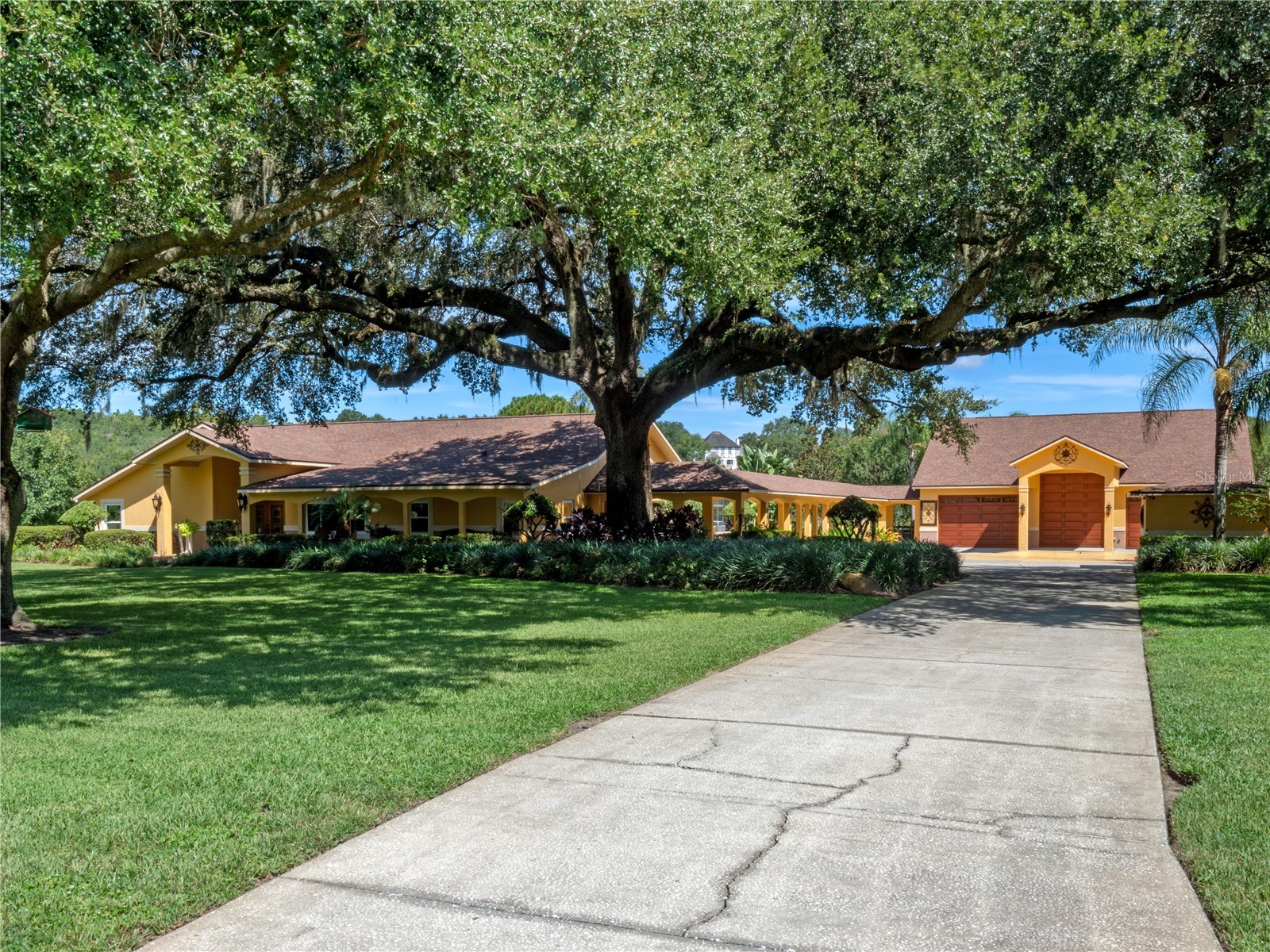 32133 Wolf Branch Lane Sorrento FL 32776 O6374261 image5