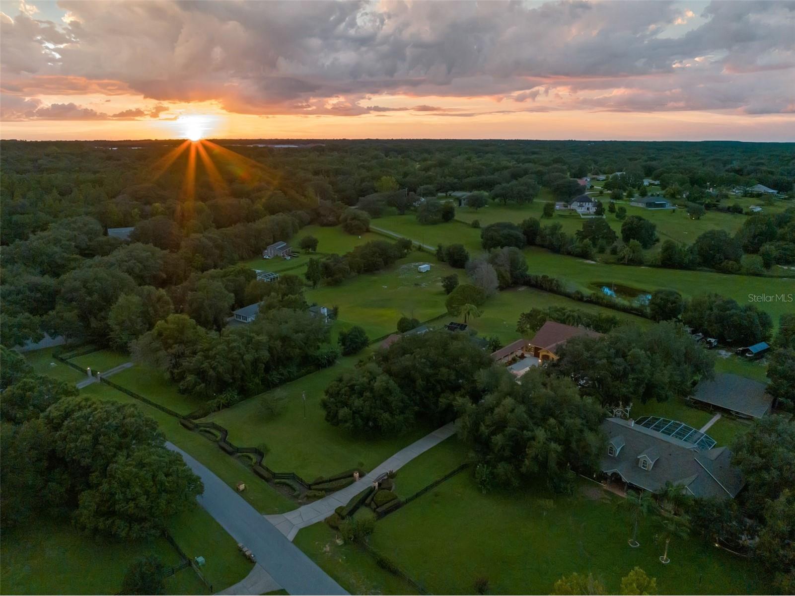 32133 Wolf Branch Lane Sorrento FL 32776 O6374261 image59