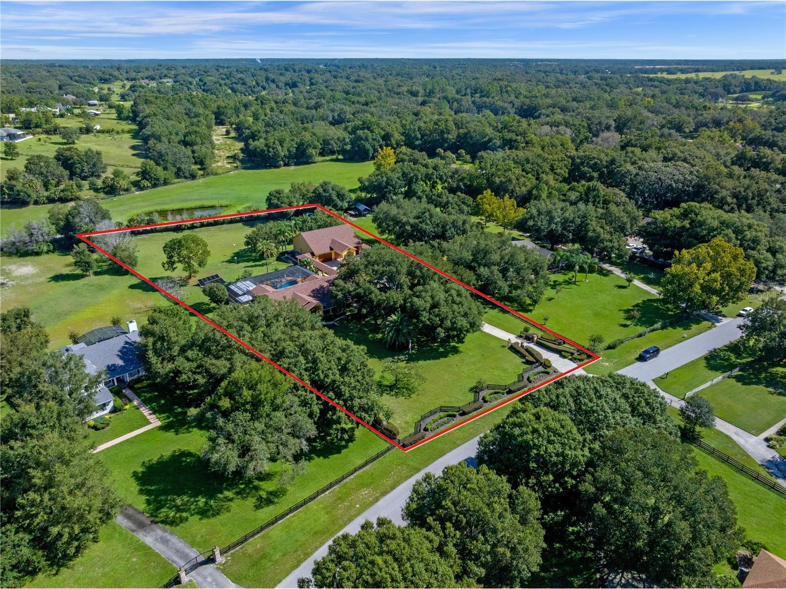 32133 Wolf Branch Lane Sorrento FL 32776 O6374261 image7