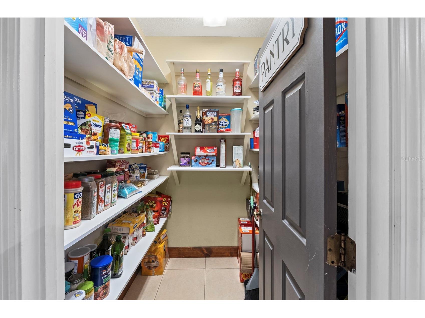 32137 Wolf Branch Lane Sorrento FL 32776 O6328820 image22