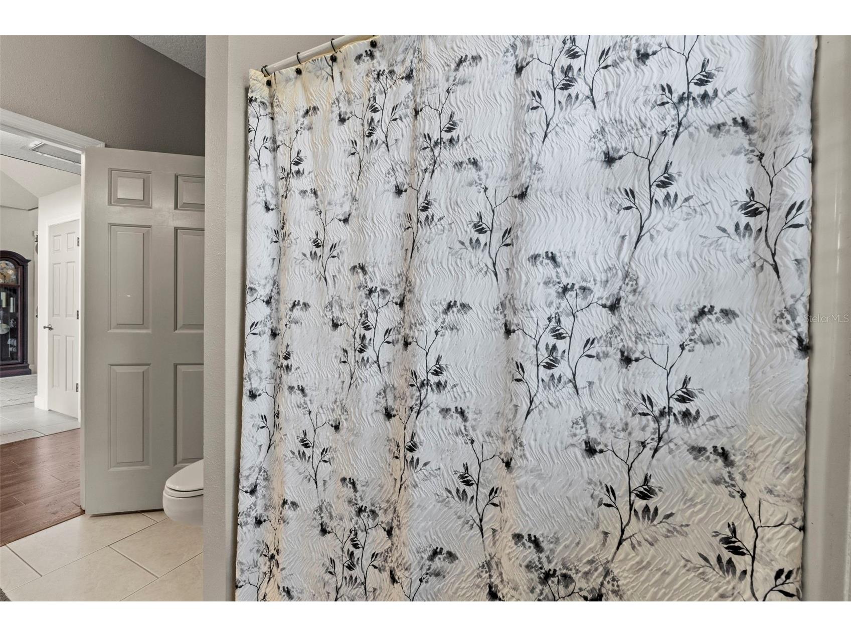 32137 Wolf Branch Lane Sorrento FL 32776 O6328820 image39