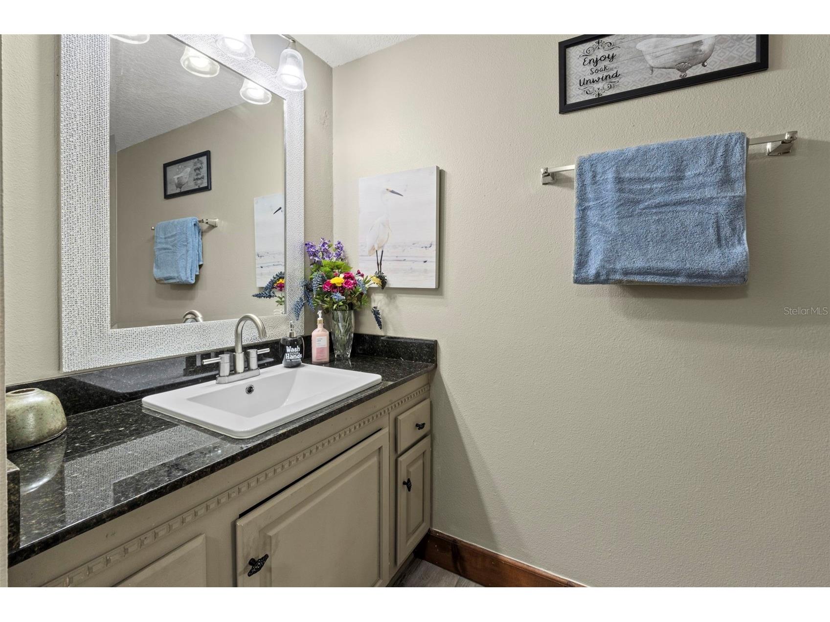 32137 Wolf Branch Lane Sorrento FL 32776 O6328820 image55