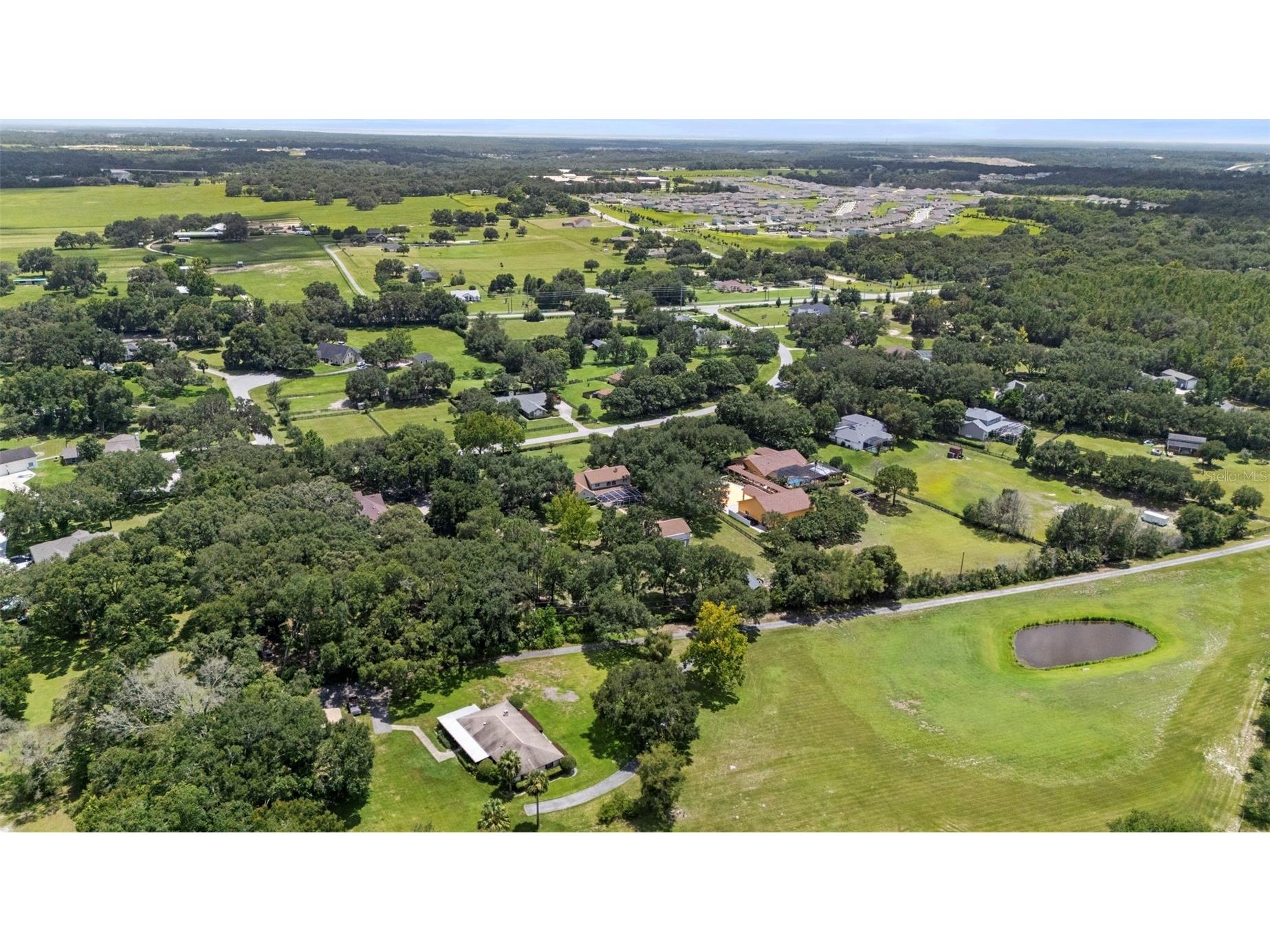 32137 Wolf Branch Lane Sorrento FL 32776 O6328820 image93