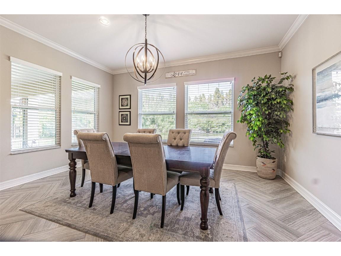 32139 Firemoss Lane Wesley Chapel FL 33543 TB8447108 image12