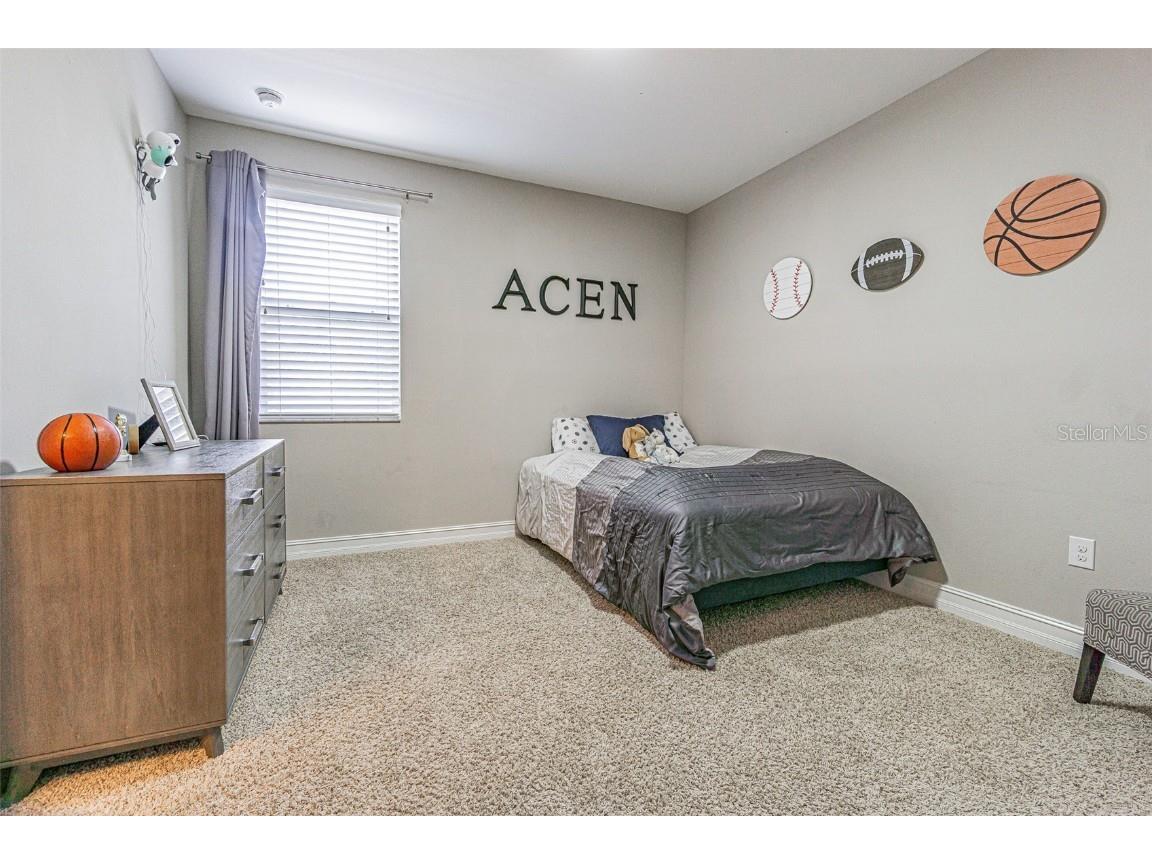 32139 Firemoss Lane Wesley Chapel FL 33543 TB8447108 image36