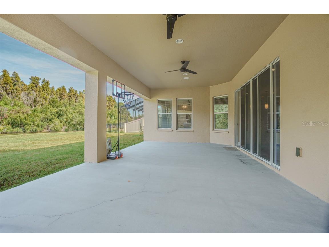 32139 Firemoss Lane Wesley Chapel FL 33543 TB8447108 image38