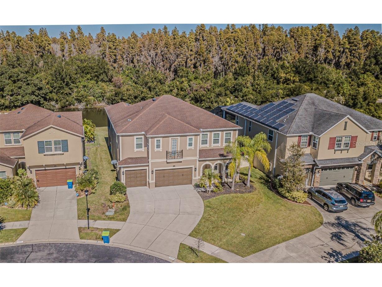 32139 Firemoss Lane Wesley Chapel FL 33543 TB8447108 image40