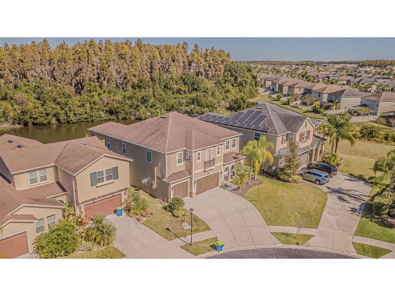 32139 Firemoss Lane Wesley Chapel FL 33543 TB8447108 image41