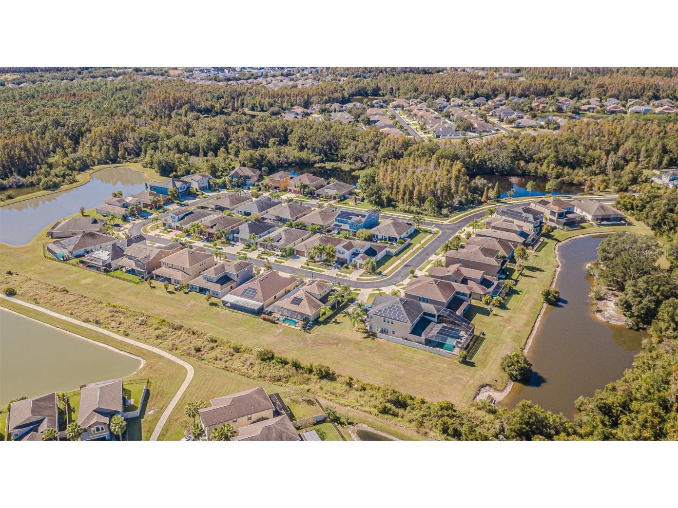 32139 Firemoss Lane Wesley Chapel FL 33543 TB8447108 image50