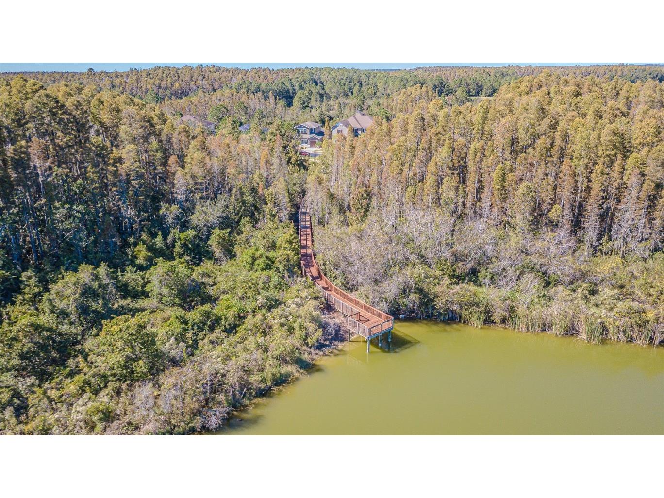 32139 Firemoss Lane Wesley Chapel FL 33543 TB8447108 image51