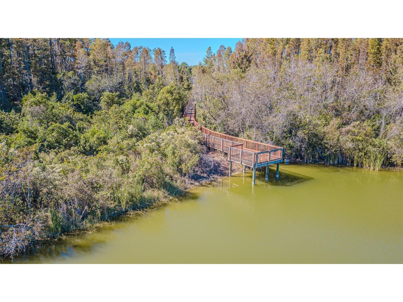 32139 Firemoss Lane Wesley Chapel FL 33543 TB8447108 image52