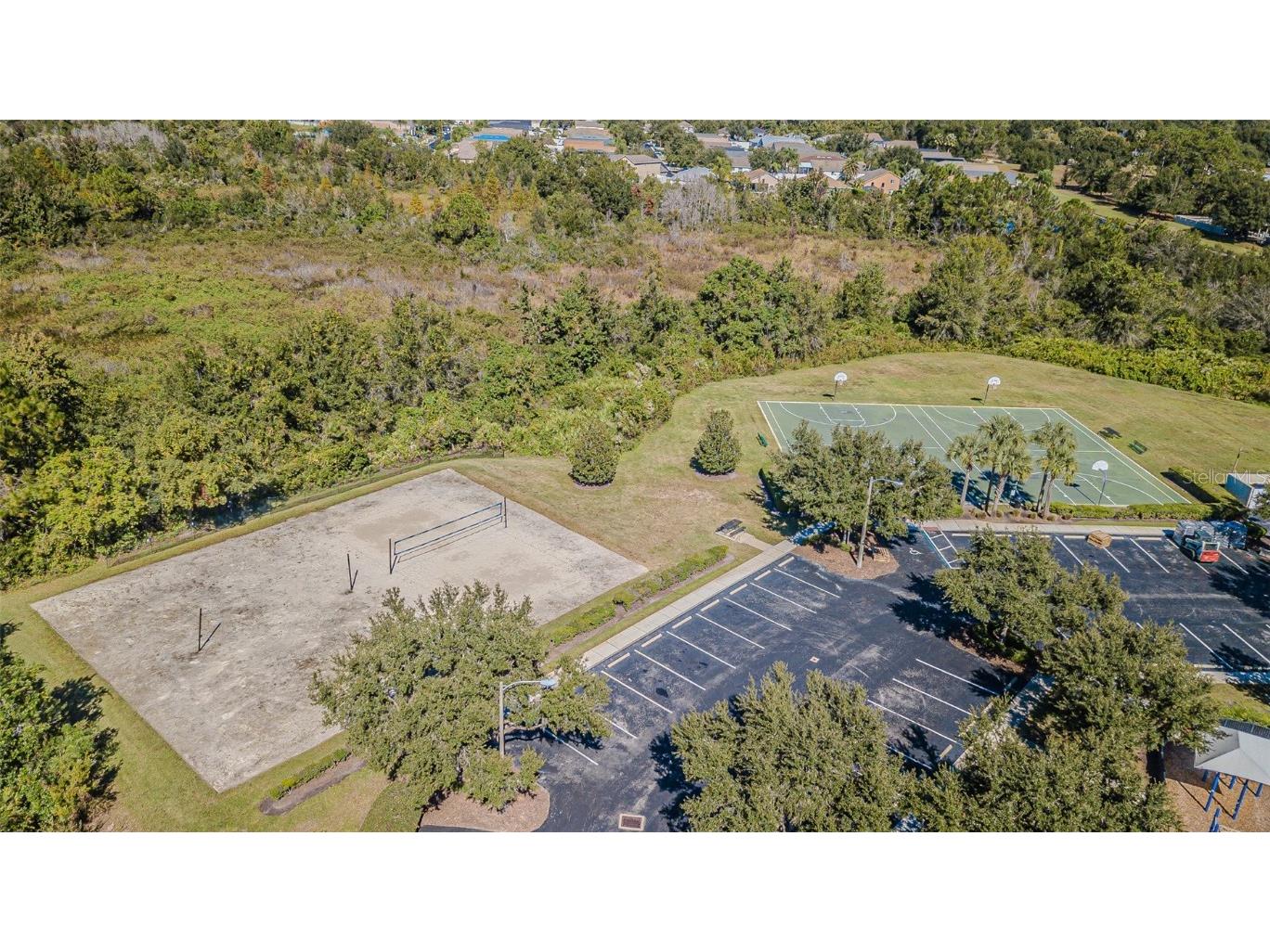 32139 Firemoss Lane Wesley Chapel FL 33543 TB8447108 image54