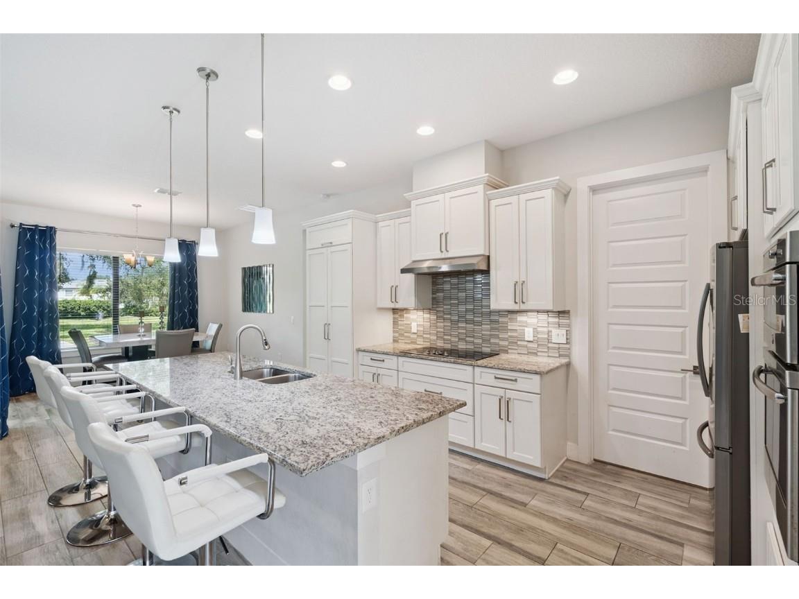 32139 Red Tail Boulevard Sorrento FL 32776 O6356380 image9