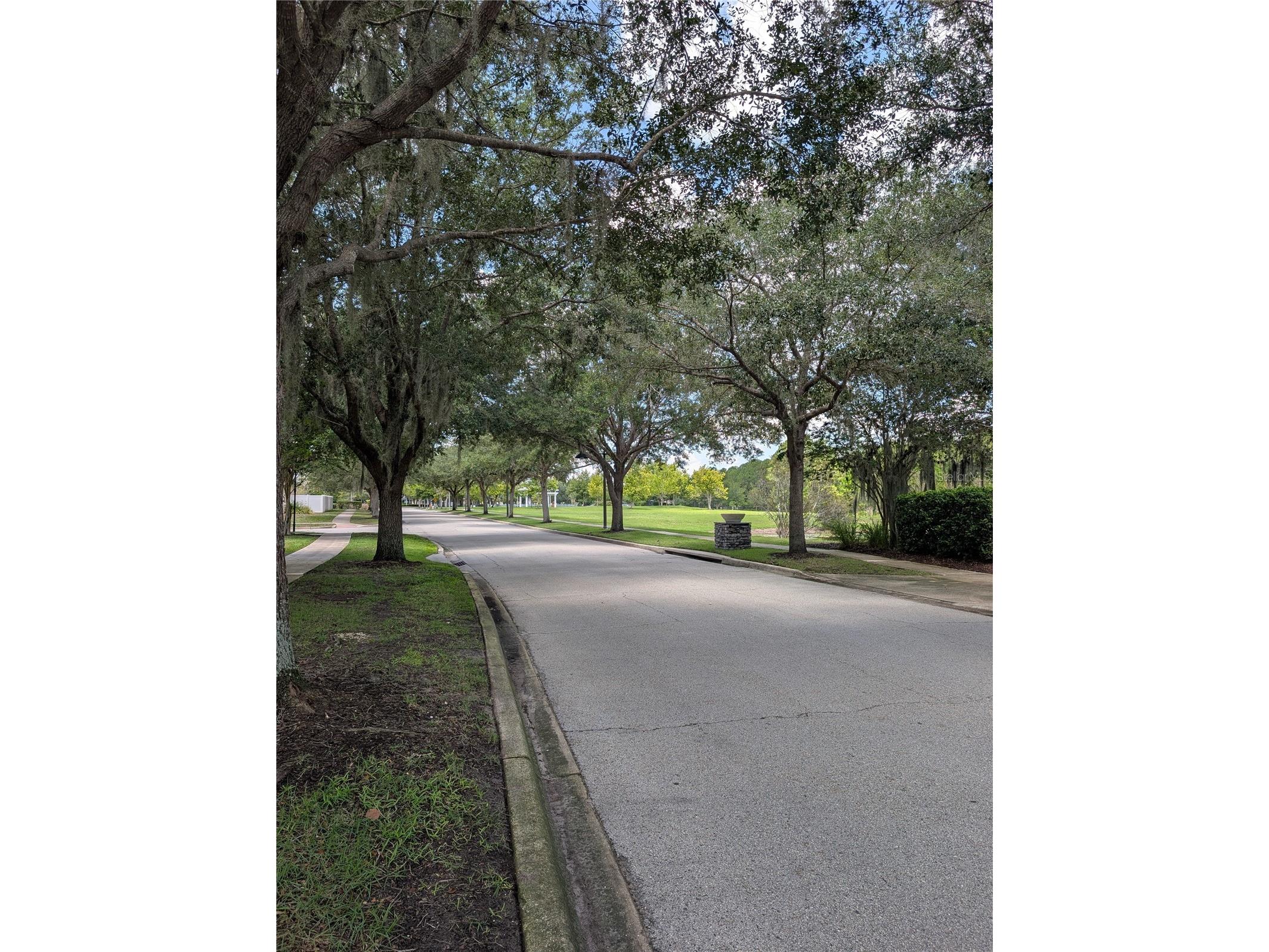 3214 Needlegrass Lane Harmony FL 34773 S5151697 image57