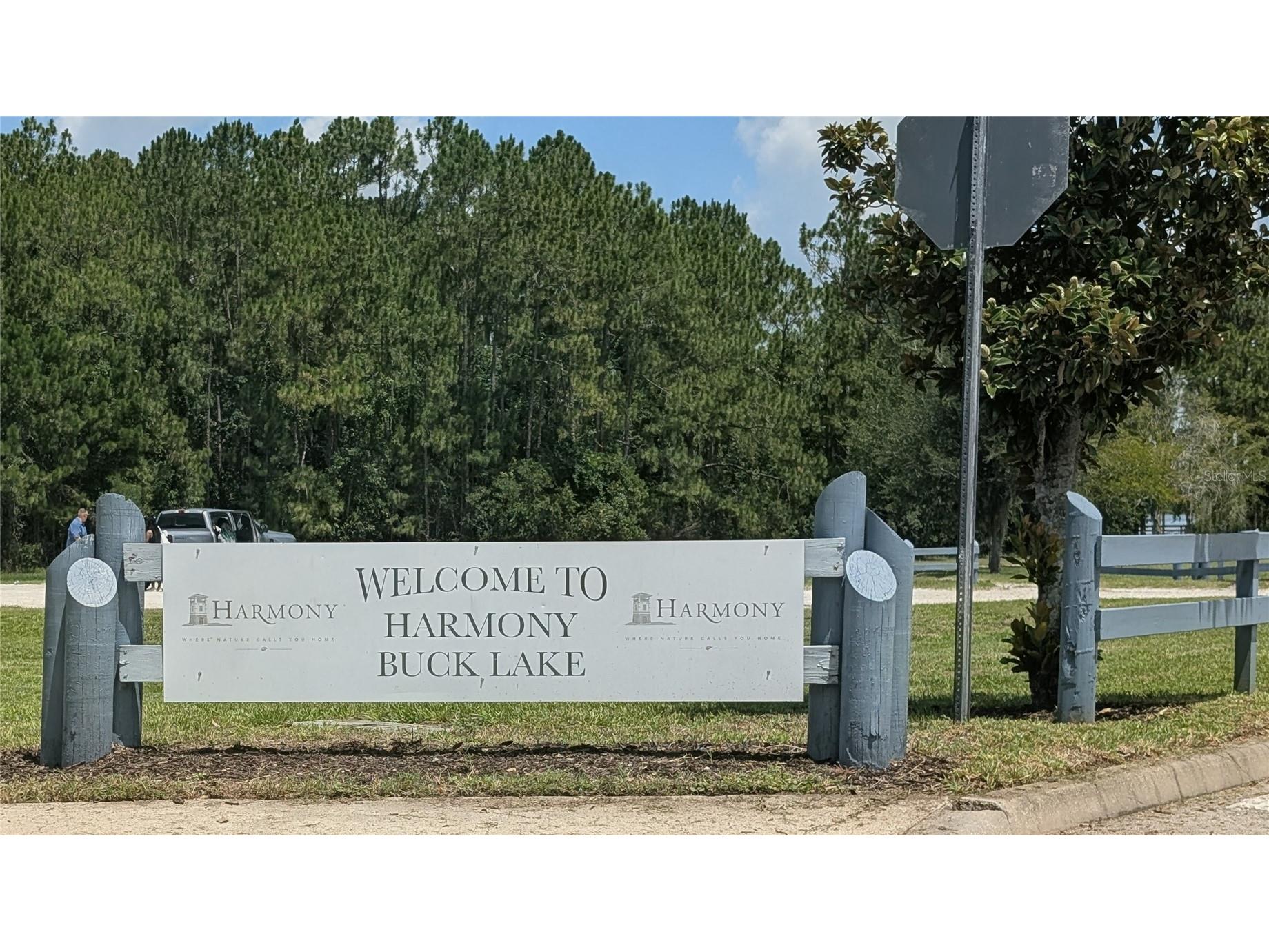 3214 Needlegrass Lane Harmony FL 34773 S5151697 image63