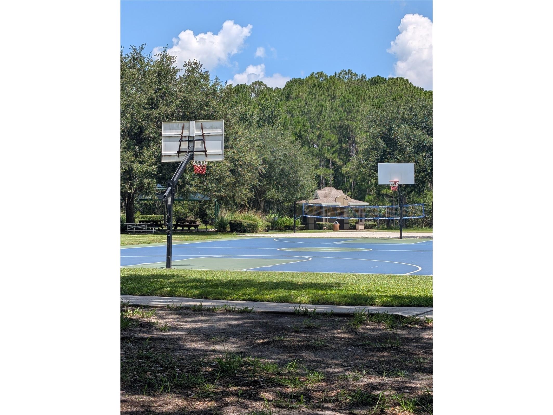 3214 Needlegrass Lane Harmony FL 34773 S5151697 image64