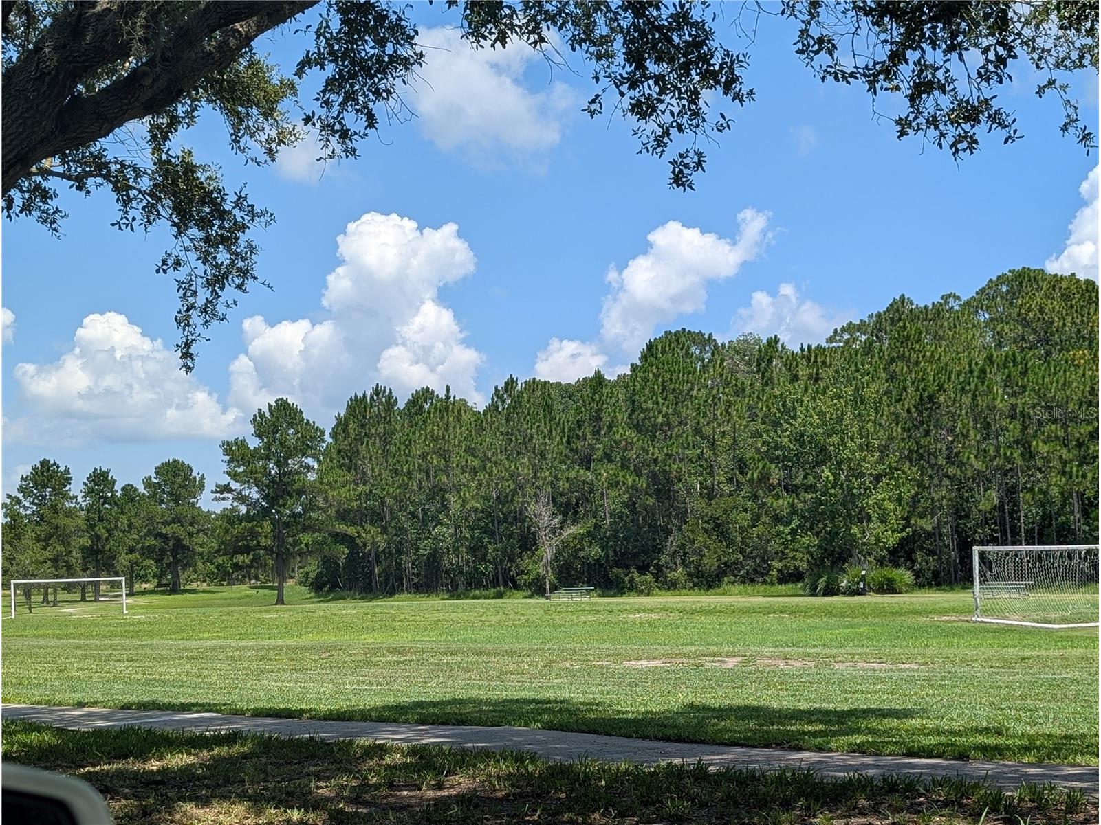 3214 Needlegrass Lane Harmony FL 34773 S5151697 image65