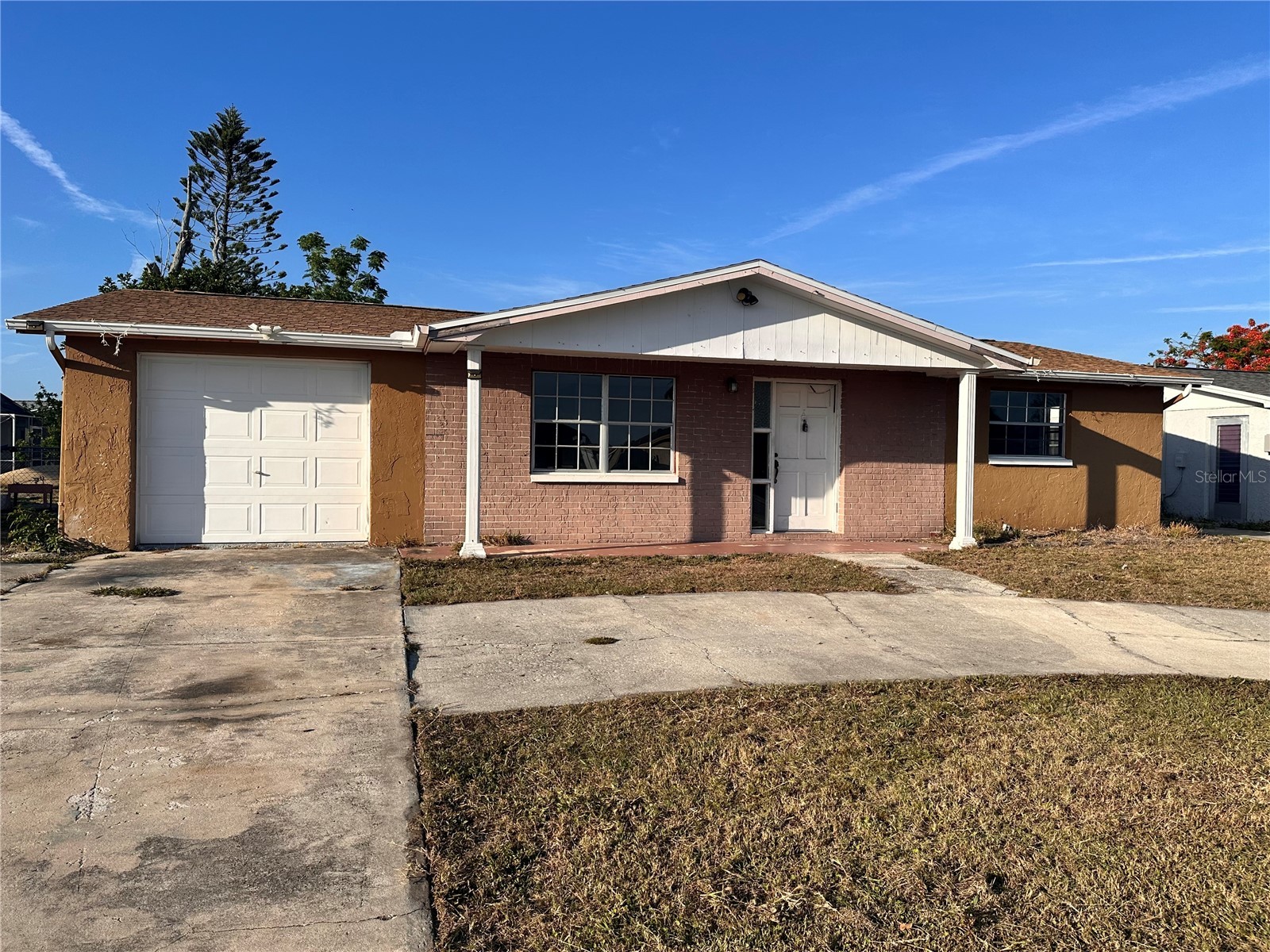 3215 Bright Drive Holiday FL 34691 TB8506491 image21