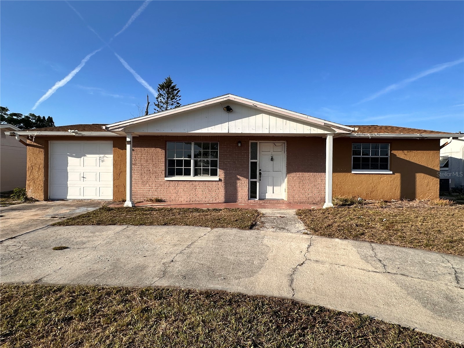 3215 Bright Drive Holiday FL 34691 TB8506491 image22