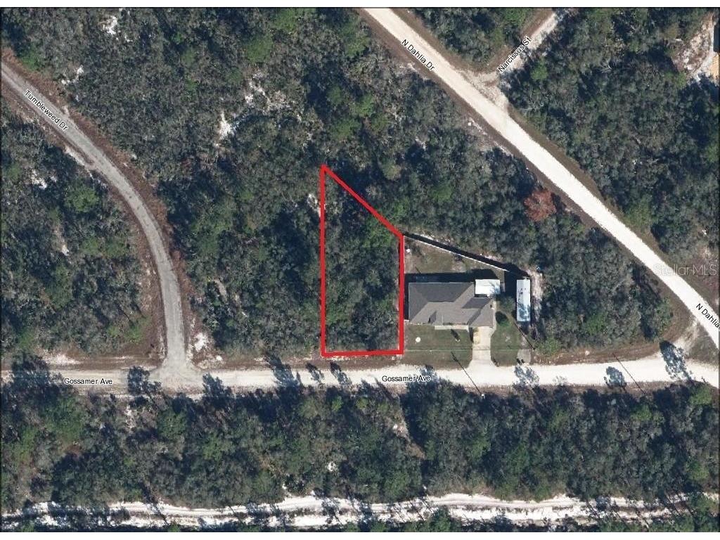 3215 Gossamer Avenue Lake Placid FL 33852 L4952253 image1